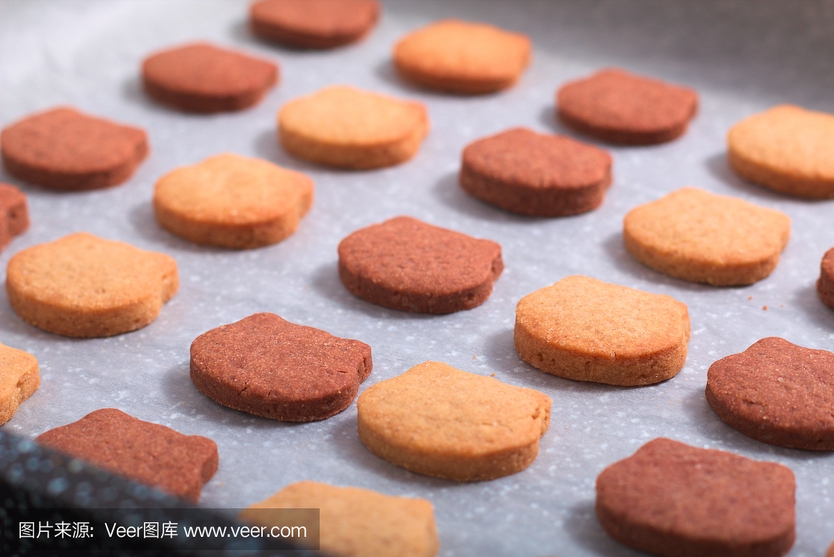 食物概念Spot focus新鲜烘焙自制有机黄油糖饼干双色猫形状在黑色石板石板与复制空间